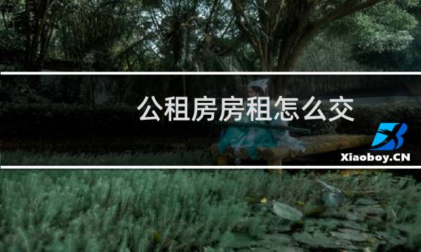公租房房租怎么交