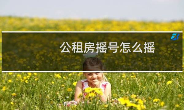 公租房摇号怎么摇