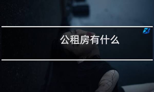 公租房有什么
