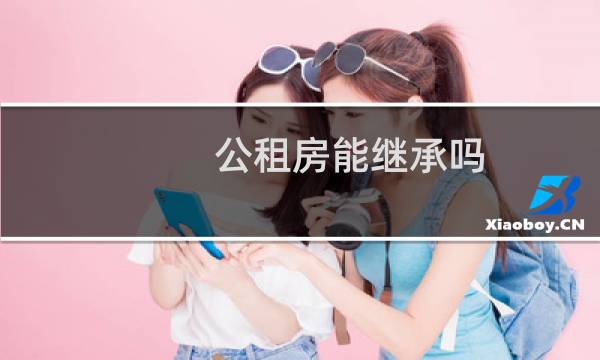 公租房能继承吗