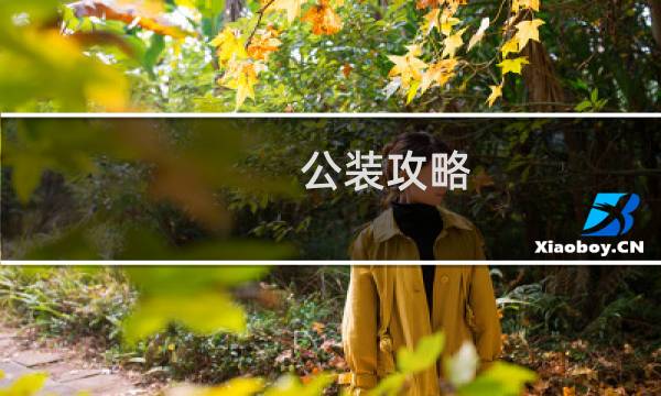 公装攻略
