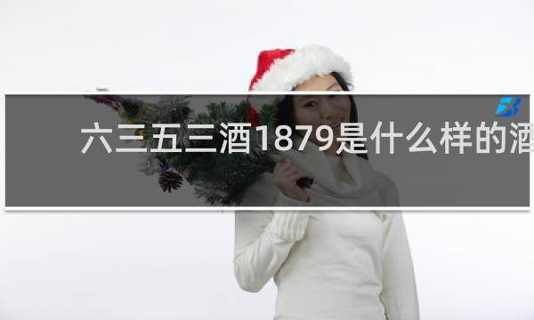 六三五三酒1879是什么样的酒