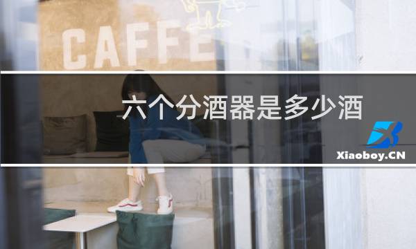 六个分酒器是多少酒