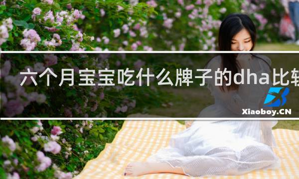 六个月宝宝吃什么牌子的dha比较好