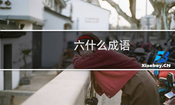 六什么成语