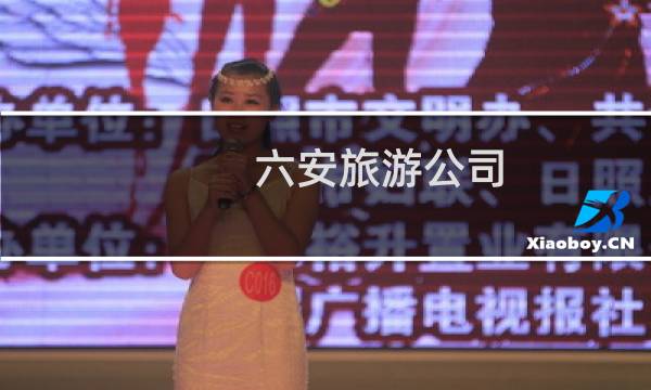 六安旅游公司