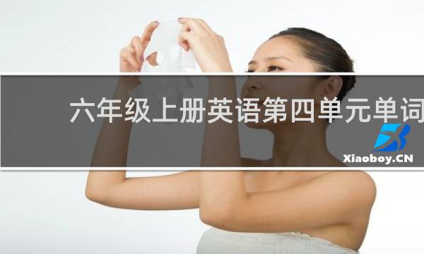 六年级上册英语第四单元单词