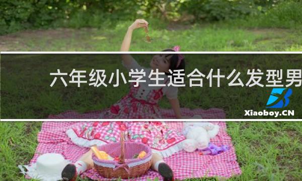 六年级小学生适合什么发型男