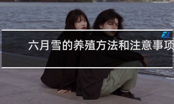 六月雪的养殖方法和注意事项