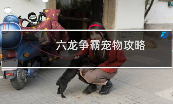 六龙争霸宠物攻略