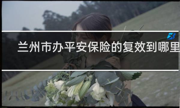 兰州市办平安保险的复效到哪里办