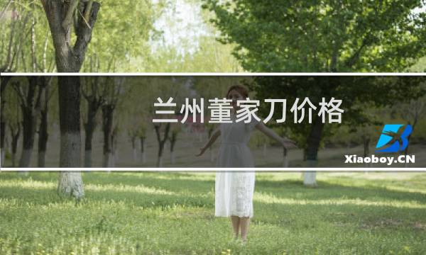 兰州董家刀价格
