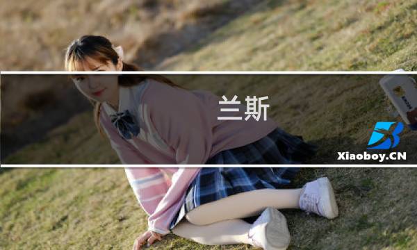 兰斯 10 攻略