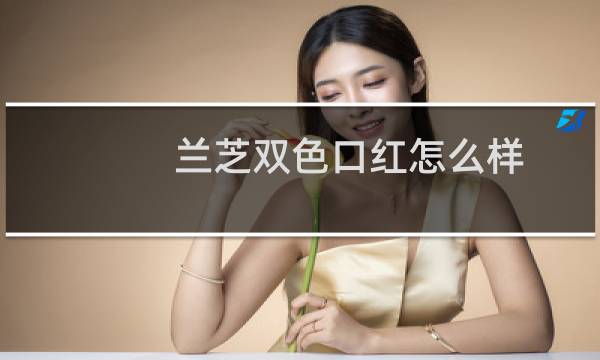 兰芝双色口红怎么样