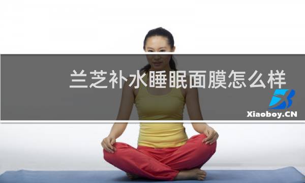 兰芝补水睡眠面膜怎么样