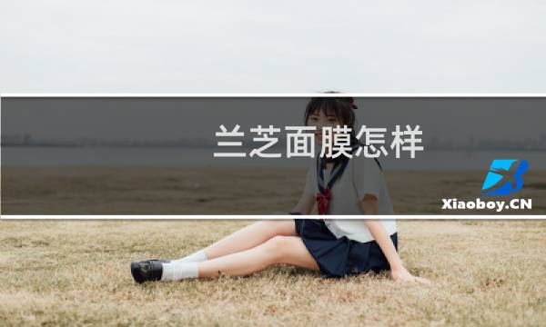 兰芝面膜怎样