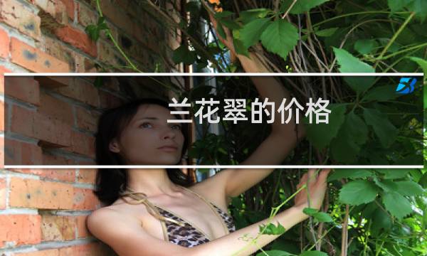 兰花翠的价格