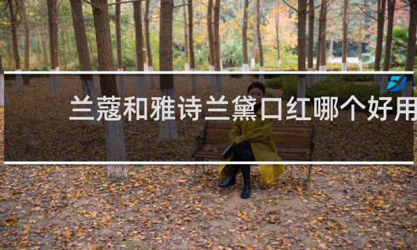 兰蔻和雅诗兰黛口红哪个好用