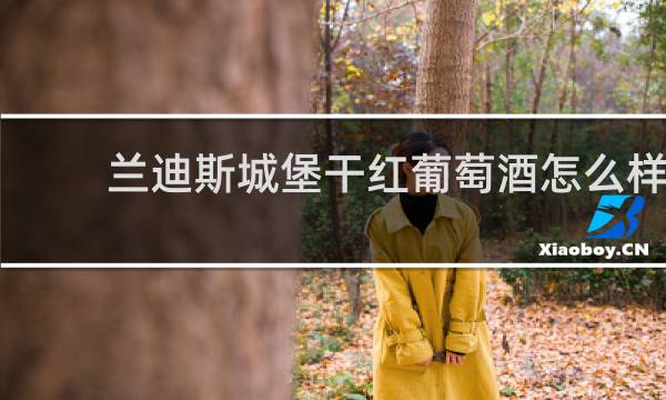 兰迪斯城堡干红葡萄酒怎么样