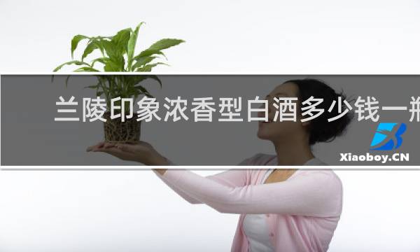 兰陵印象浓香型白酒多少钱一瓶
