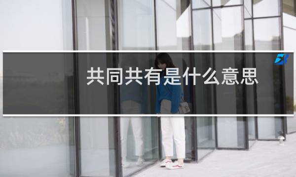 共同共有是什么意思