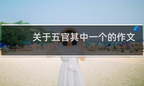 关于五官其中一个的作文