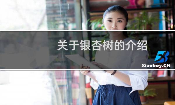 关于银杏树的介绍