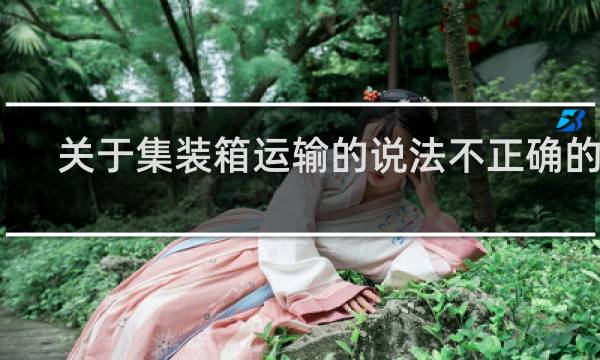 关于集装箱运输的说法不正确的是