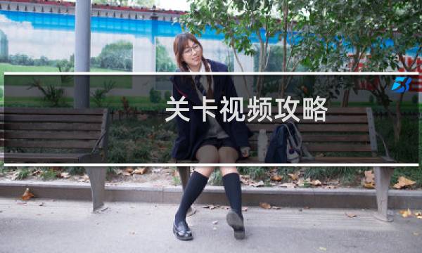 关卡视频攻略