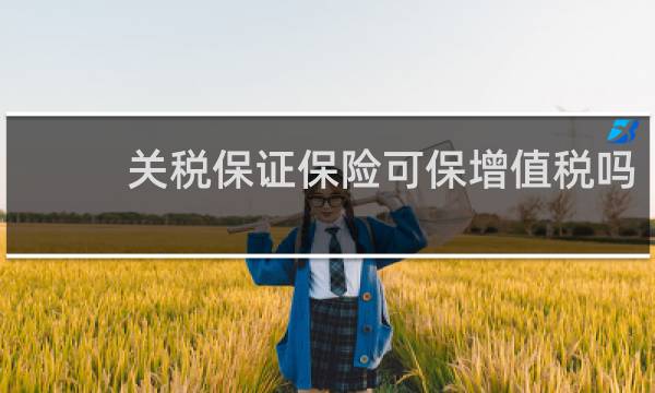 关税保证保险可保增值税吗
