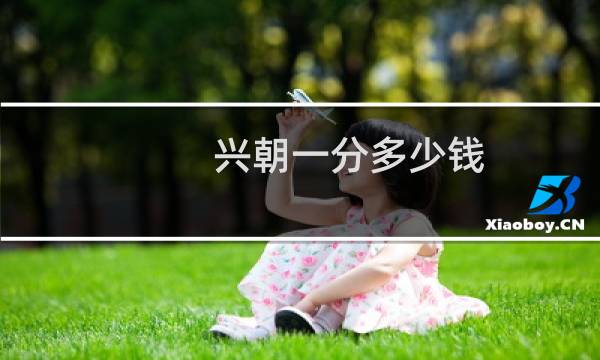兴朝一分多少钱