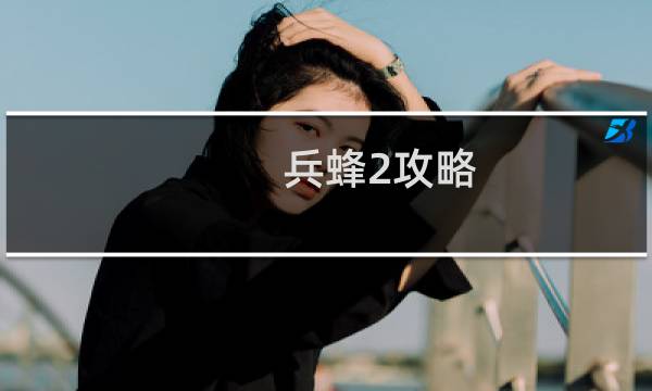 兵蜂2攻略