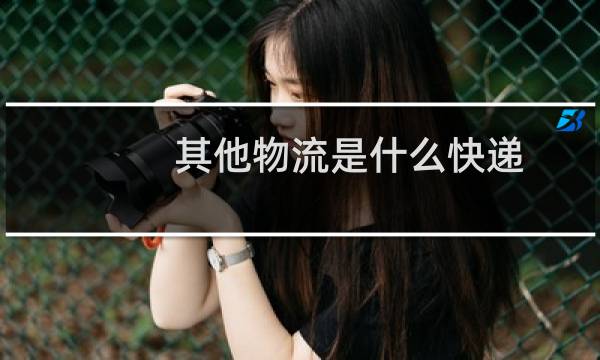 其他物流是什么快递