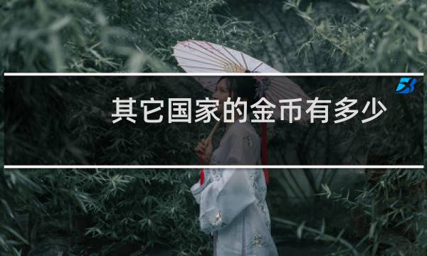 其它国家的金币有多少
