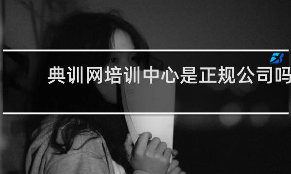 典训网培训中心是正规公司吗