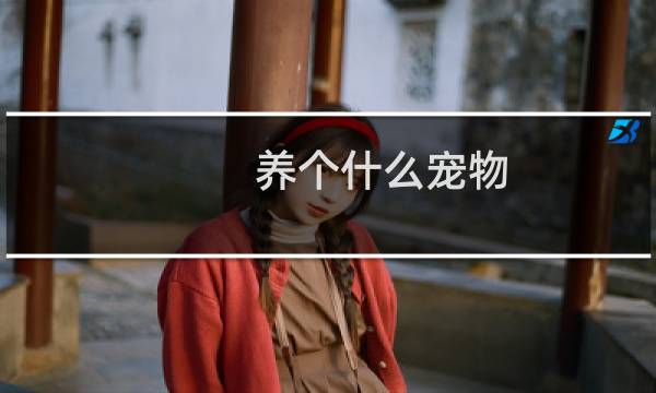 养个什么宠物