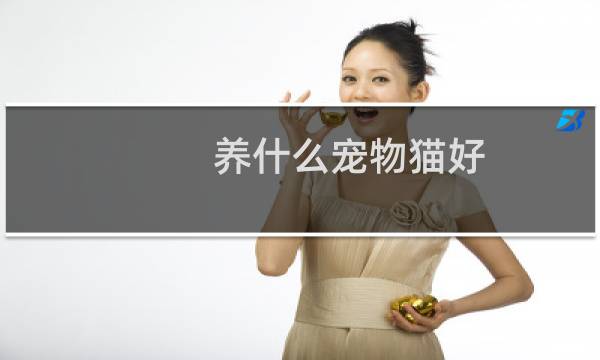 养什么宠物猫好