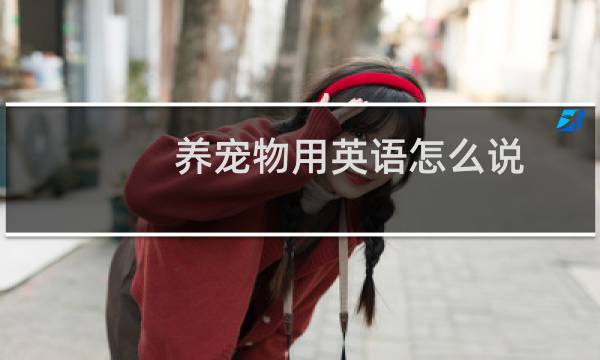 养宠物用英语怎么说