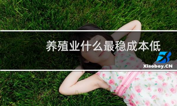 养殖业什么最稳成本低