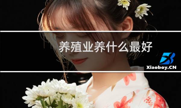 养殖业养什么最好