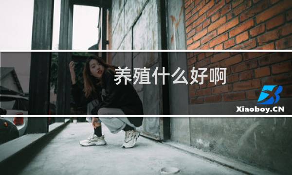 养殖什么好啊