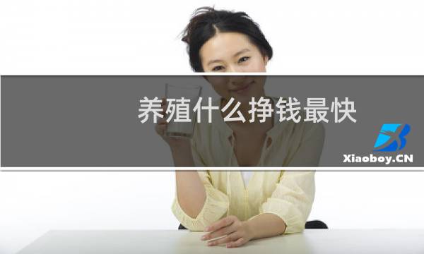 养殖什么挣钱最快
