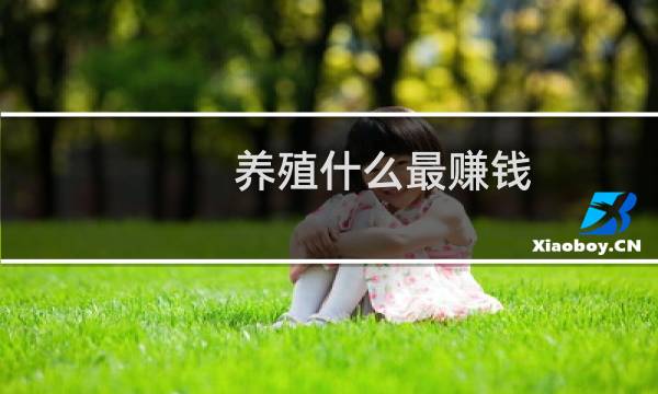 养殖什么最赚钱