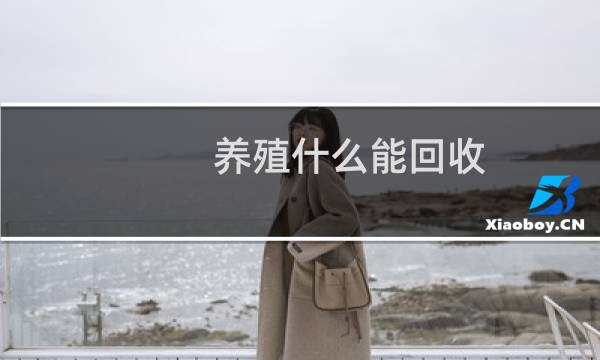 养殖什么能回收