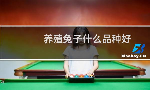 养殖兔子什么品种好