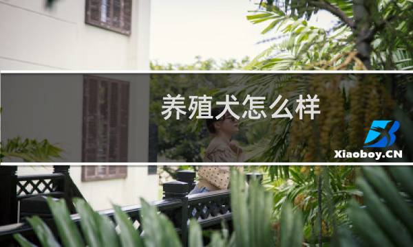 养殖犬怎么样