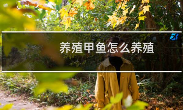 养殖甲鱼怎么养殖