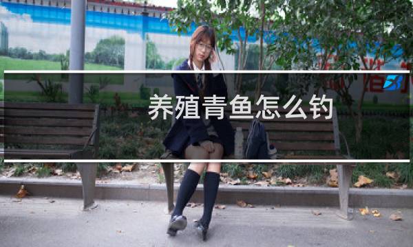 养殖青鱼怎么钓