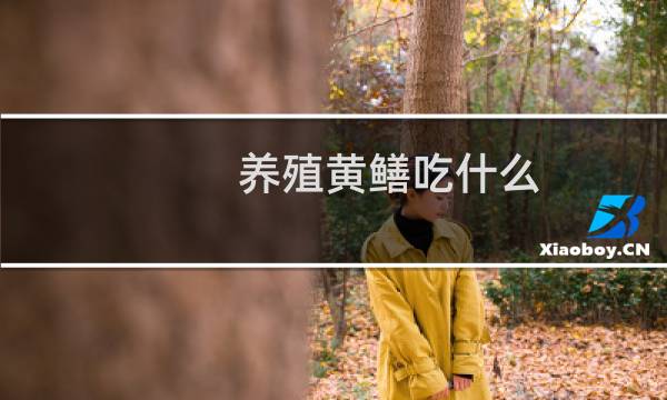 养殖黄鳝吃什么