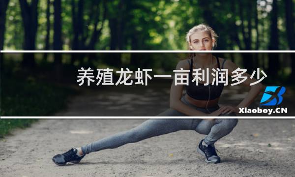 养殖龙虾一亩利润多少